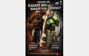 stage exceptionnel karaté mix et contact