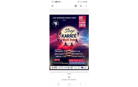 stage karaté multi style du 5 octobre