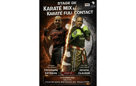 stage exceptionnel karaté mix et contact